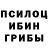 Псилоцибиновые грибы мухоморы Amelia_TwT