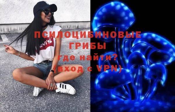 хмурый Алексеевка