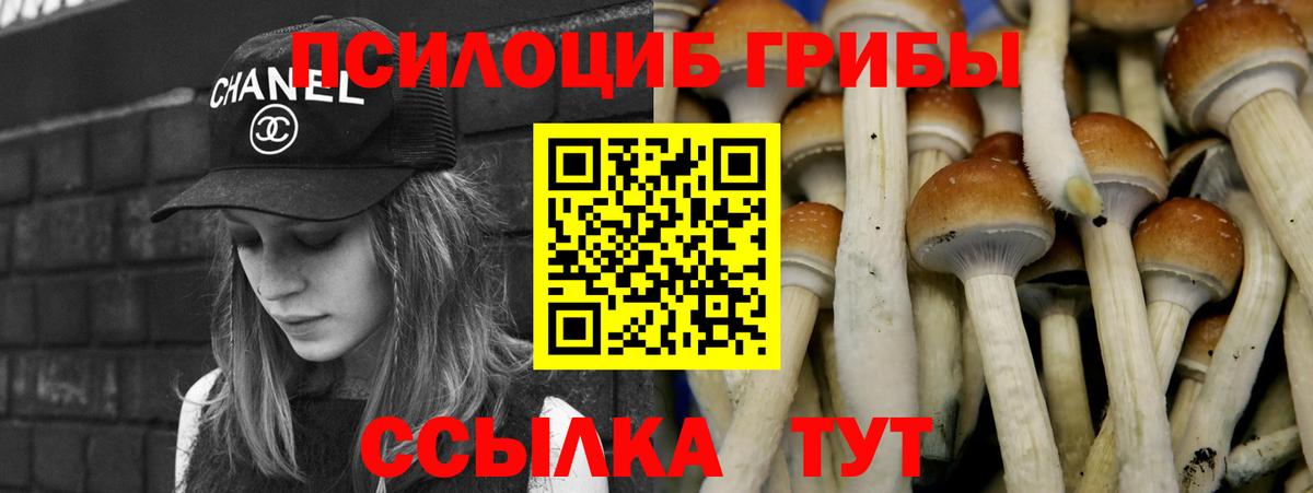 Псилоцибиновые грибы GOLDEN TEACHER Тихвин