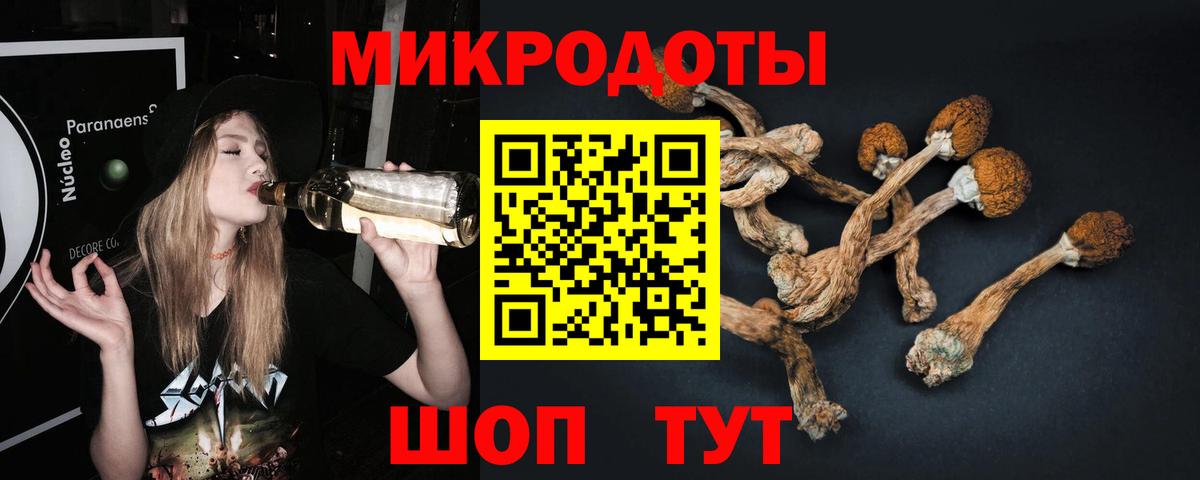 Тихвин  Псилоцибиновые грибы Cubensis  Вход с VPN 